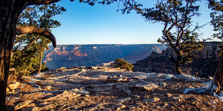 Nestled in the heart of South Africa’s Western Cape