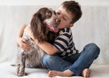 The Environmental Impact of Pet Waste & How Pooper Scoopers Help in Tucson