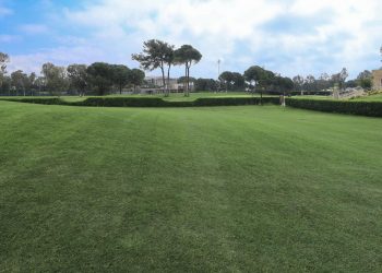 What Are the Biggest Differences Between DIY and Professional Lawn Care Near Me