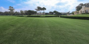 What Are the Biggest Differences Between DIY and Professional Lawn Care Near Me