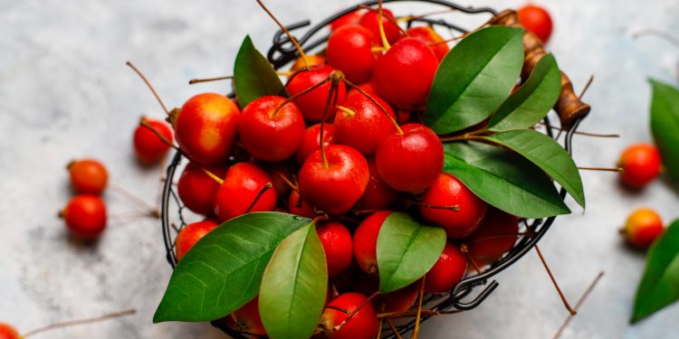 Hawthorn for High Blood Pressure: A Natural Approach to Hypertension Management