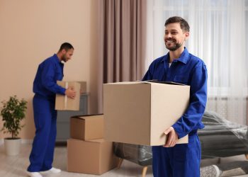 Everything You Need to Know About Moving Your Apartment