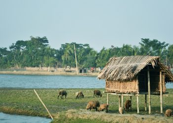 Should people opt for the Sundarban Eco-Friendly Tour Package?