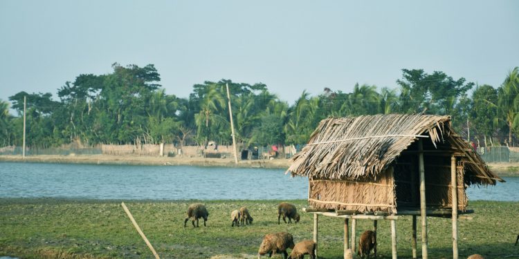 Should people opt for the Sundarban Eco-Friendly Tour Package?