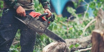Stump Grinding Service in Lawrence, MA: Restoring Your Yard’s Beauty and Safety